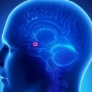 양재(초급) 이미지