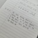 양말코히 이미지