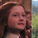 지니라인 이미지