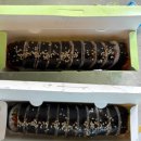 윤조김밥