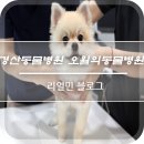 오월의 동물병원 이미지