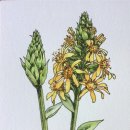 내기마을진입로 이미지