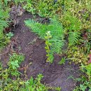 달랏(DA LAT) 이미지