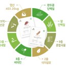 [식물성 단백질] 임산부도 가능하는 식물성 단백질 프로틴 &lt;모닝파파&gt; 솔직후기