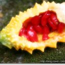 화개우체국 이미지