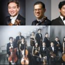 2024 전주세계소리축제 | 2024 전주세계소리축제 후기-세종솔로이스츠공연