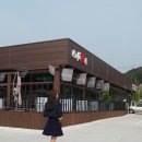 데일리민디 이미지