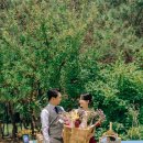 밀드플레 이미지