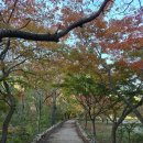 내장산국립공원화장실(제1주차장) 이미지