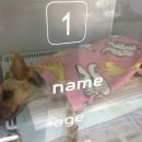 한솔동물병원 이미지