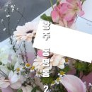24시꽃