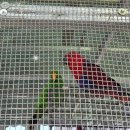 종은농장 이미지