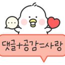 바미애견유치원 이미지