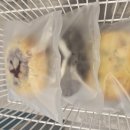 호두나라;땅콩공주