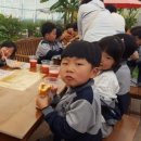 비룡초교병설유치원 이미지