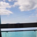 오션비치스파애견펜션 이미지