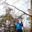 11545-03-31-29 | 무미건조 한 밀양 열왕산 2026-03-29