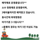 쎄주드베베