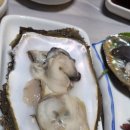 삼척횟집 이미지
