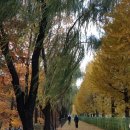 송정제방길 이미지