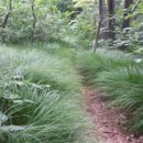 당포1리 주차장 이미지