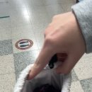 풍차수선