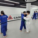 유도아카데미 이미지