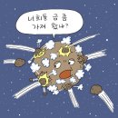 금은유통