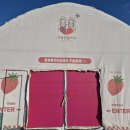 대형농장2호 이미지