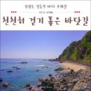 8월6일 정동진 바다부채길 트레킹 및 소돌 아들바위 공원에 초대 합니다 버스 2대운행 합니다 이미지