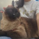 제이엠 동물병원 이미지