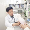 서경석동물병원 이미지