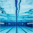 하비엘럭스 이미지