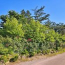 반딧불이민박 이미지