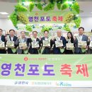 영천슈퍼 - 동구 공항로45길 50 | 영천슈퍼