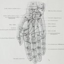 심지한의원 이미지
