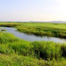 현대골프장1 이미지