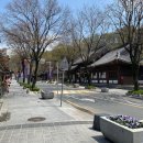 전주 담양 2박3일 여행/전주 한옥마을숙소 청미당/경기전옆사진관 흑백사진/길거리야/다우랑