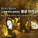 광명관광주