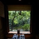 참나무쟁이 이미지