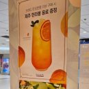 롤링핀 고속터미널점