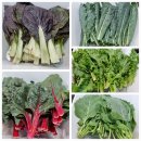 미담이네농장 | [안양맛집] 평촌역 고기집 평촌역 쌈밥 - <채소미담 안양평촌본점>