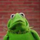 보고약업사 이미지