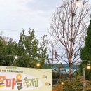 밀양시장애인복지관 | 가곡동 온(ON)마을 축제 마을사람들과 함께 하는