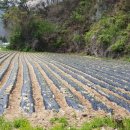 MBC공인중개사사무소 이미지