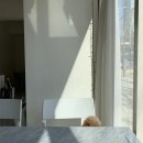 킬호