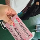 제주 서귀포 유람선 후기