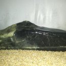 오도체육관 이미지