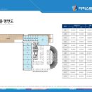 더 퍼스트 이미지