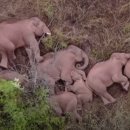 끼리끼리 이미지